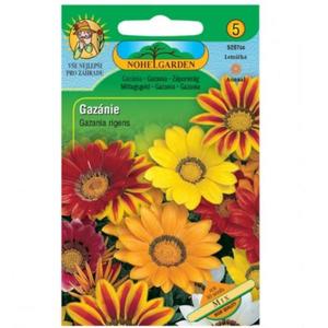 Gazánia lesklá, zmes vyobraziť