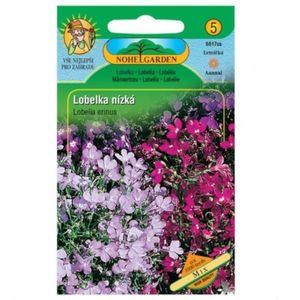 Lobelka drobná nízka, zmes vyobraziť