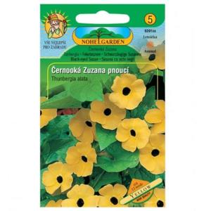 Čiernooká Zuzana ťahavá, žlutá vyobraziť
