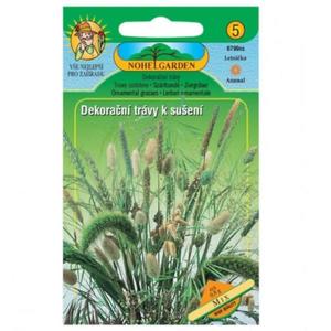 Dekoračné trávy na sušenie vyobraziť