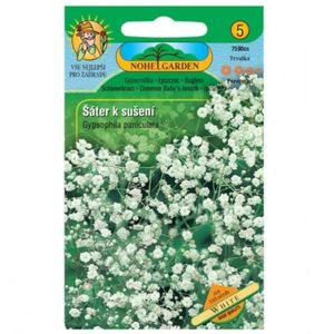 Gypsomilka metlinatá na sušenie, biela vyobraziť