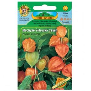 Machovka - Židovská čerešňa, oranžová vyobraziť