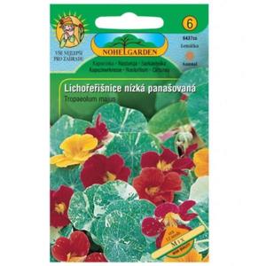 Kapucínka väčšia nízka panašovaná, zmes vyobraziť