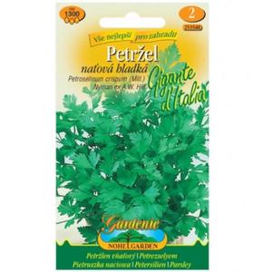 Petržlen vňaťový hladký Gigante D´Italia vyobraziť