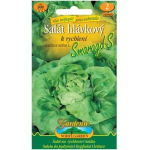 Šalát hlávkový na rýchlenie Smaragd S vyobraziť