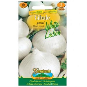 Cibuľa jarná White Lisbon, biela vyobraziť