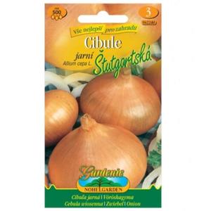 Cibuľa jarná Štutgartská, žltá vyobraziť