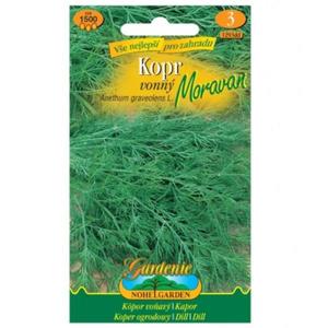 Kôpor vonný Moravan vyobraziť