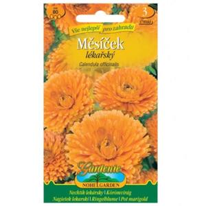 Nechtík lekársky vyobraziť