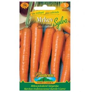 Mrkva poloskorá Sylva vyobraziť