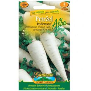 Petržlen koreňový Alba vyobraziť