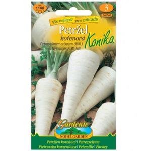 Petržlen koreňový Konika vyobraziť