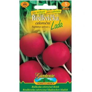 Červená reďkovka Lada celoročný vyobraziť