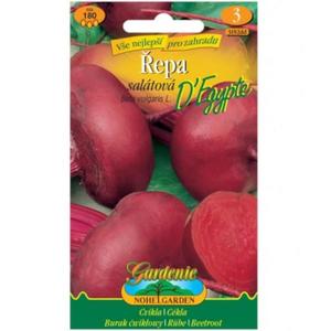 Plochá repa D´Egypte vyobraziť