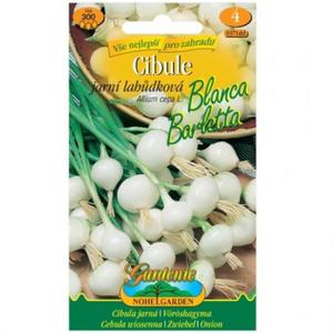 Cibuľa jarná Blanca Barletta, lahôdková biela vyobraziť