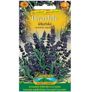 Levanduľa lekárska vyobraziť