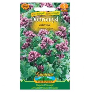 Pamajorán obyčajný - oregáno vyobraziť