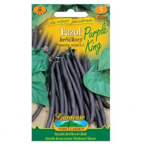 Fazuľa kríčková Purple King, fialová vyobraziť