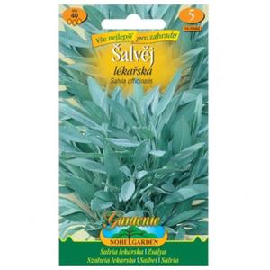 Šalvia lekárska vyobraziť