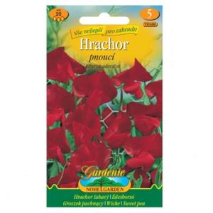 Hrachor vonný ťahavý, červený vyobraziť