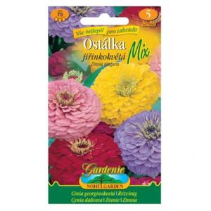 Cínia pôvabná georgínokvetá, zmes vyobraziť