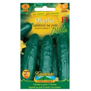 Uhorka šalátová na pole Obelix F1 - hybrid vyobraziť