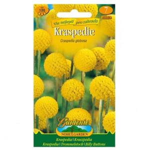 Kaspédia, žltá vyobraziť