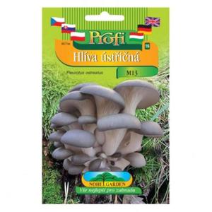 Světle fialová vyobraziť