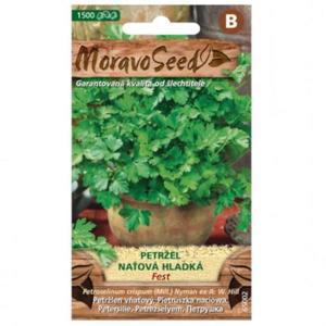 Petržlen vňaťový hladký vyobraziť
