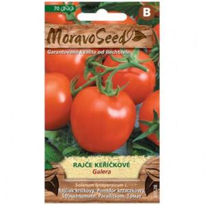 Rajčiak kríčkový Galera, guľatý vyobraziť