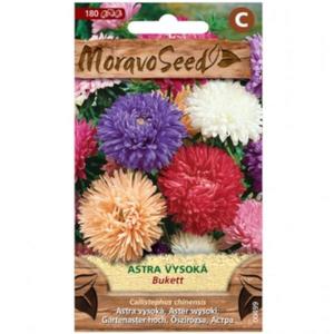 Astra čínska vysoká Bukett, zmes vyobraziť