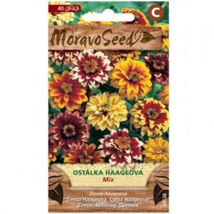 Cínia Haageova, zmes vyobraziť