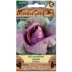 Kapusta hlávková neskorá Kalibos, červ., na skladovanie vyobraziť