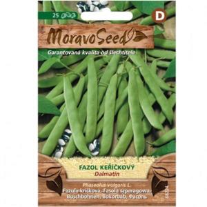 Fazuľa kríčková Dalmatin, zelená vyobraziť