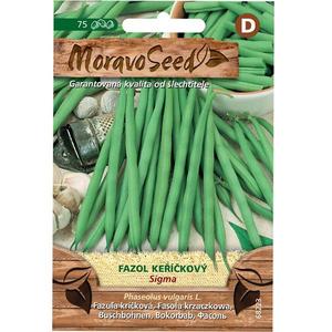 Fazuľa kríčková, zelená vyobraziť