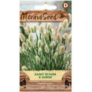 Zajačí chvost na sušenie vyobraziť