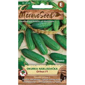 Uhorka nakladačka hruboostná Orfeus F1 - hybrid vyobraziť