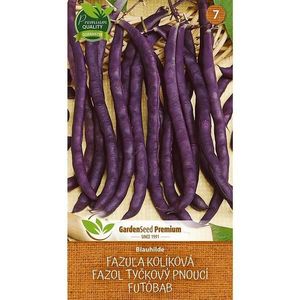 Fazuľa Blauhilde vyobraziť