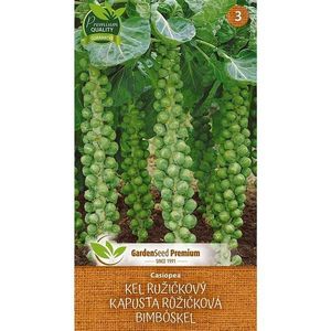 Ružičkový kel Casiopea vyobraziť