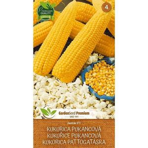 Kukurica Jantár F1 vyobraziť