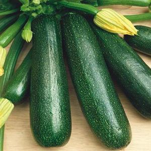 Tekvica cuketa Bio vyobraziť