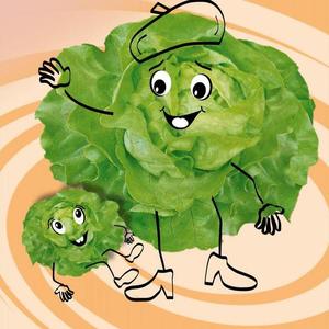 Šalát Cassini (Baby) vyobraziť