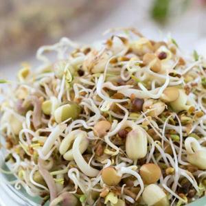 Lahodná zmes semená na klíčky vyobraziť