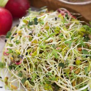 Semená na klíčky - Regeneračná zmes vyobraziť