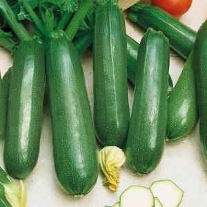 Cuketa Premium Astra Polka vyobraziť