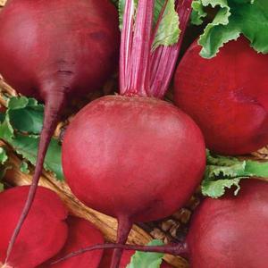 Červená Guľatá Cvikla Premium vyobraziť