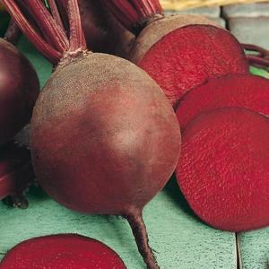 Bona cvikla guľatá vyobraziť