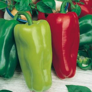 Paprika Slovakia vyobraziť