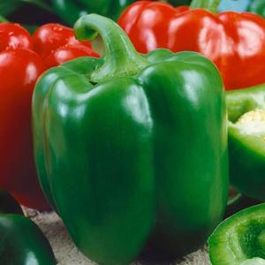 Paprika Rubinova vyobraziť