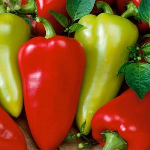Paprika Cynthia F1 vyobraziť